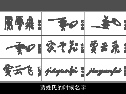 贾姓氏的时候名字