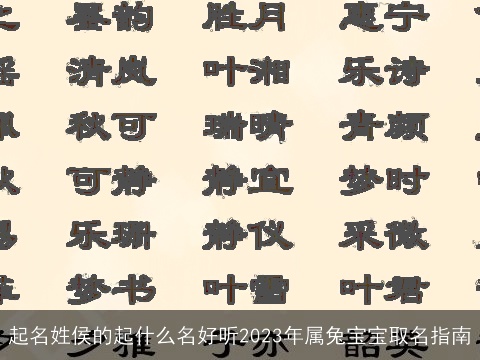 起名姓侯的起什么名好听2023年属兔宝宝取名指南