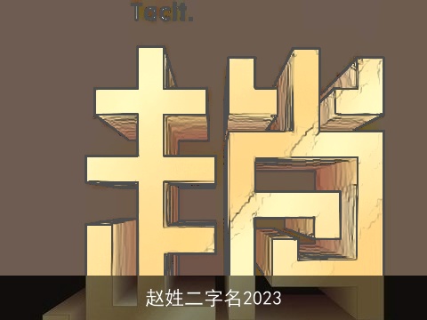 赵姓二字名2023