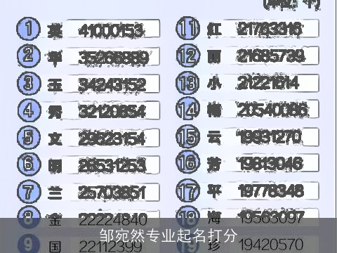 邹宛然专业起名打分