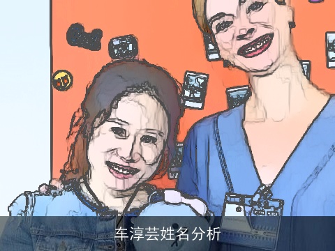 车淳芸姓名分析