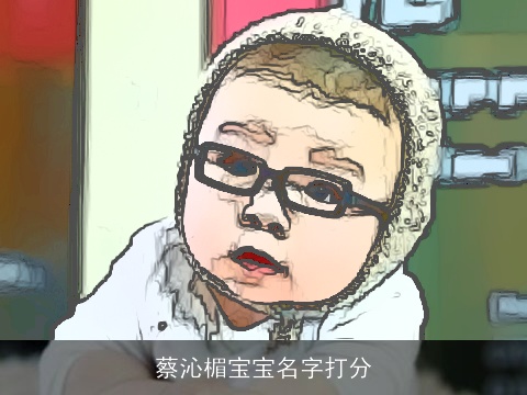 蔡沁楣宝宝名字打分