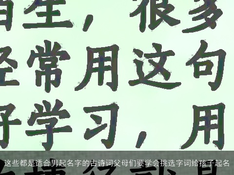 这些都是适合男起名字的古诗词父母们要学会挑选字词给孩子起名