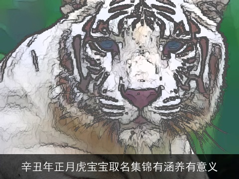辛丑年正月虎宝宝取名集锦有涵养有意义