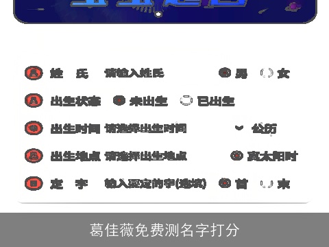 葛佳薇免费测名字打分