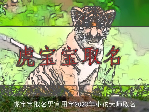 虎宝宝取名男宜用字2023年小孩大师取名