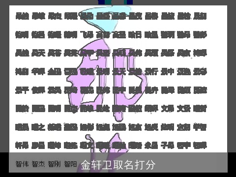 金轩卫取名打分