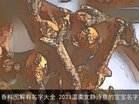 香料图解有名字大全 2023温柔文静诗意的宝宝名字