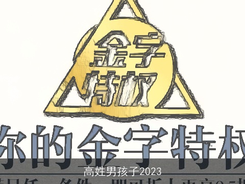 高姓男孩子2023