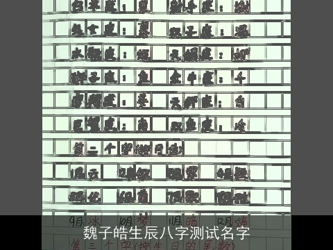魏子皓生辰八字测试名字