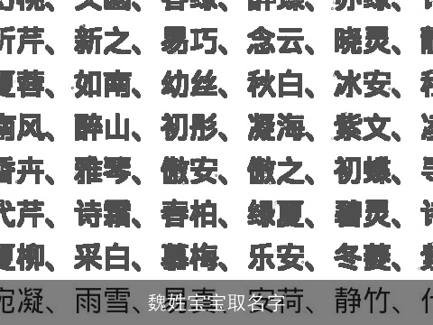 魏姓宝宝取名字
