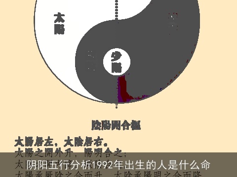 阴阳五行分析1992年出生的人是什么命