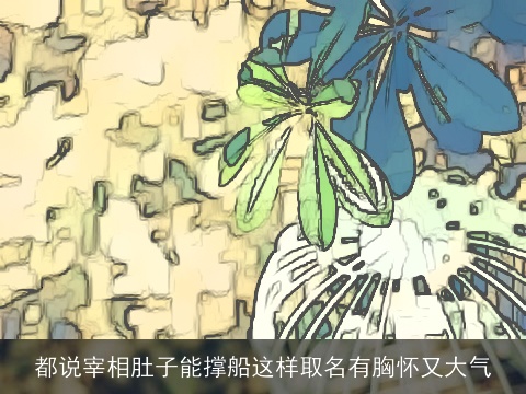 都说宰相肚子能撑船这样取名有胸怀又大气