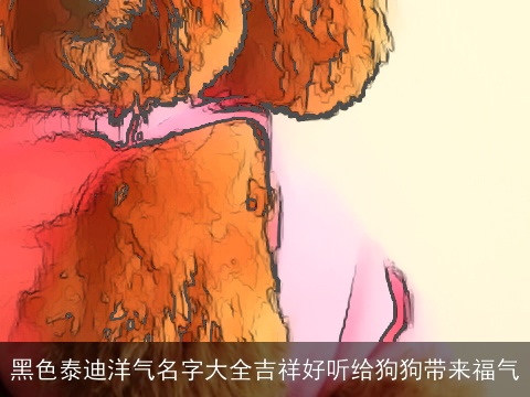 黑色泰迪洋气名字大全吉祥好听给狗狗带来福气