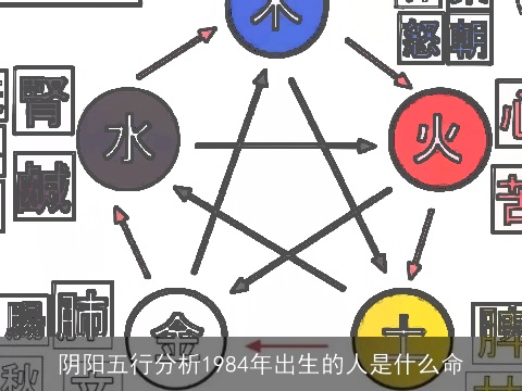 阴阳五行分析1984年出生的人是什么命