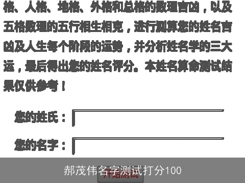 郝茂伟名字测试打分100
