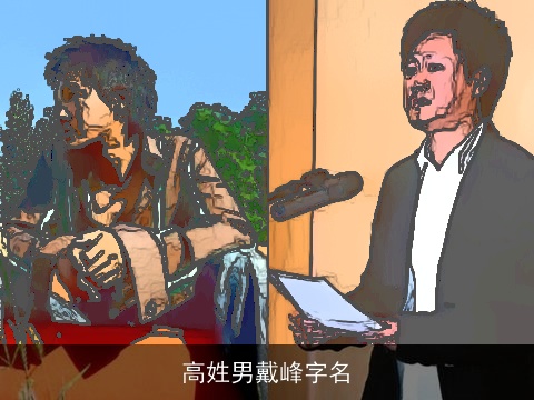 高姓男戴峰字名