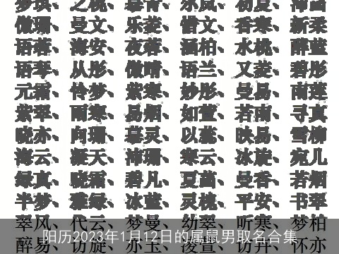 阳历2023年1月12日的属龙男取名合集