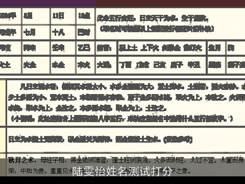 陆雯怡姓名测试打分