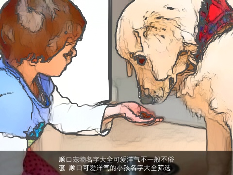 顺口宠物名字大全可爱洋气不一般不俗套 顺口可爱洋气的小孩名字大全筛选
