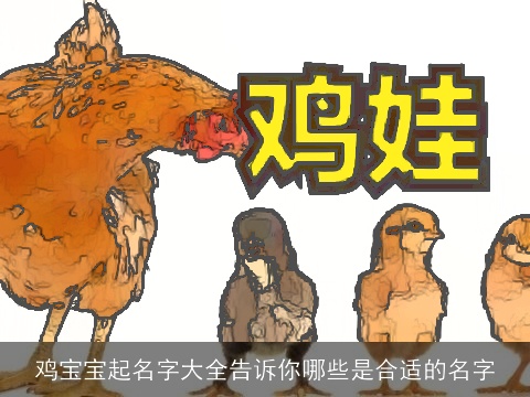鸡宝宝起名字大全告诉你哪些是合适的名字