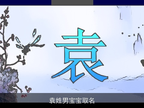 袁姓男宝宝取名