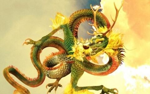 2024年是什么年，是什么属？