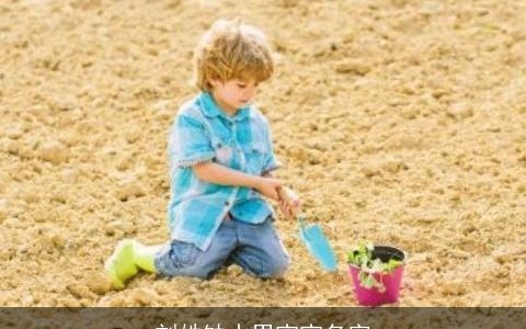 刘姓缺水男宝宝名字