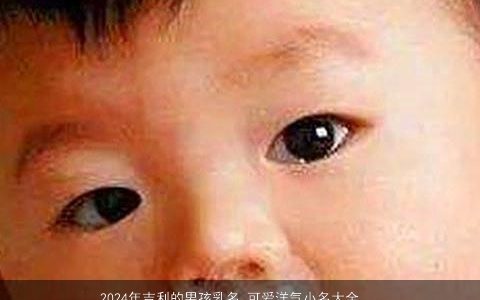 2024年吉利的男孩乳名,可爱洋气小名大全,吉利可爱洋气的男孩乳名小名名字大全最新