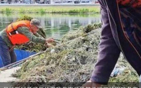 吴姓听过最顺口的男孩名字吴姓简单顺口的男孩名字