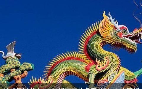 1960年属龙人公司,好寓意的名字,取什么比较好