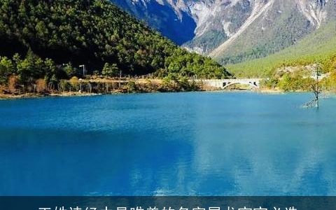 王姓诗经中最唯美的名字属龙宝宝必选