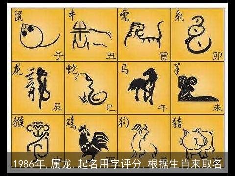 1986年,属龙,起名用字评分,根据生肖来取名