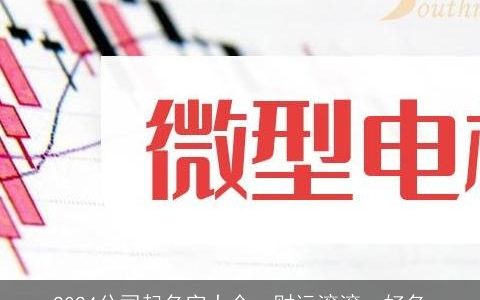 2024公司起名字大全，财运滚滚，好名