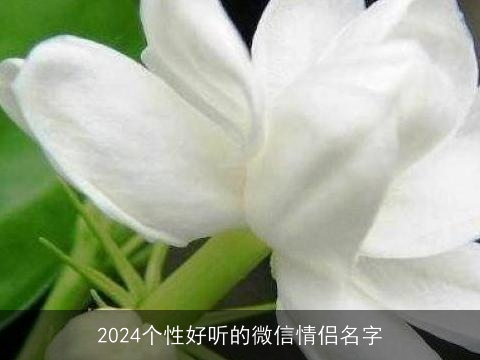 2024个性好听的微信情侣名字