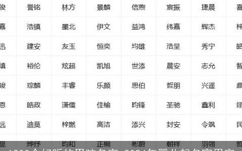 1200个好听的男孩名字,2024年婴儿起名宜用字