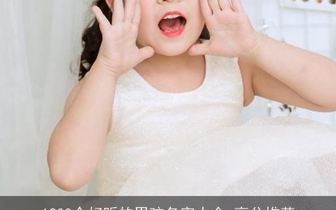 1200个好听的男孩名字大全,高分推荐