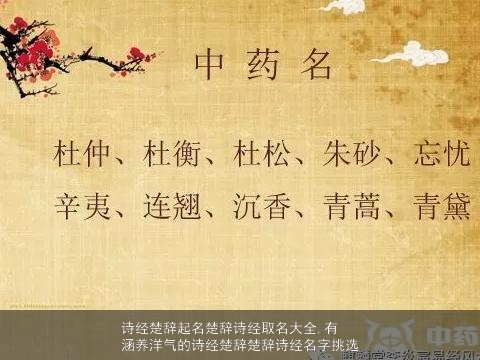 诗经楚辞起名楚辞诗经取名大全,有涵养洋气的诗经楚辞楚辞诗经名字挑选