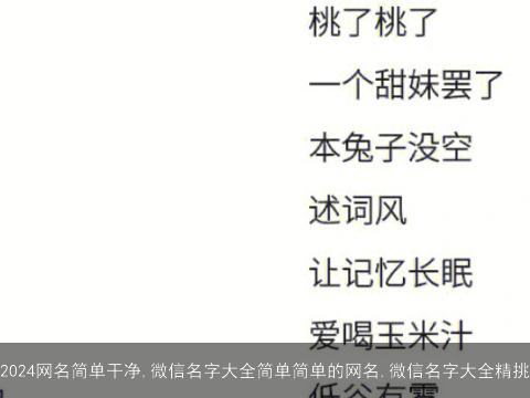 2024网名简单干净,微信名字大全简单简单的网名,微信名字大全精挑
