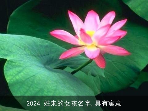 2024,姓朱的女孩名字,具有寓意