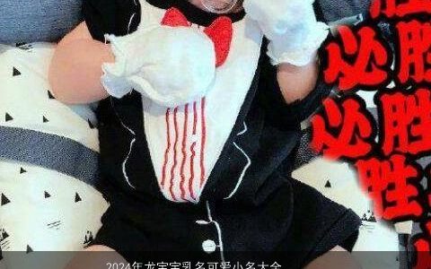 2024年龙宝宝乳名可爱小名大全,有涵养,可爱的龙宝宝乳名小名名字大全