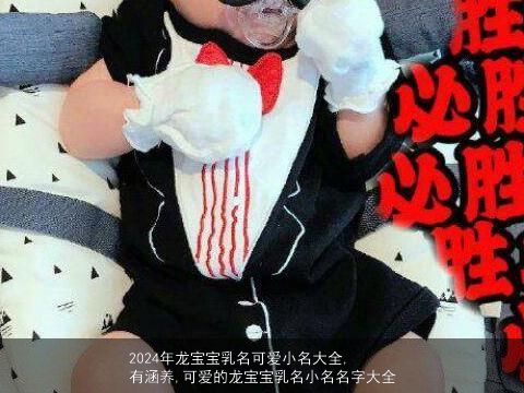 2024年龙宝宝乳名可爱小名大全,有涵养,可爱的龙宝宝乳名小名名字大全