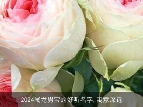 2024属龙男宝的好听名字,寓意深远