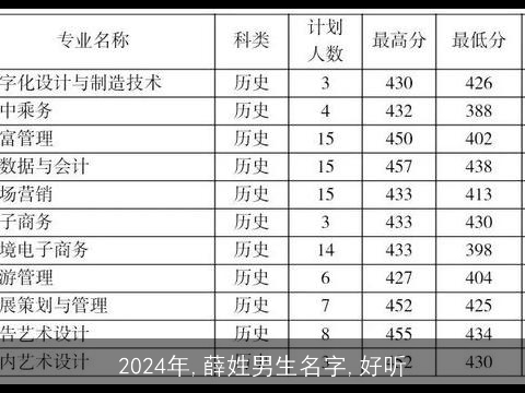 2024年,薛姓男生名字,好听