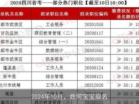 2024年10月，姓何宝宝取名