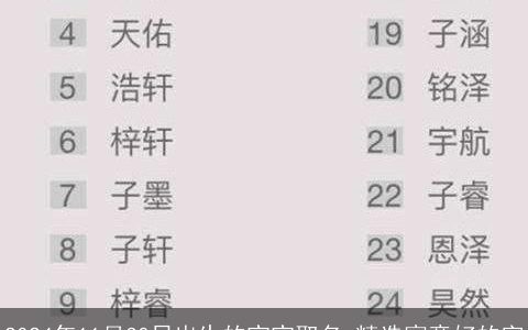 2024年11月30日出生的宝宝取名,精选寓意好的字