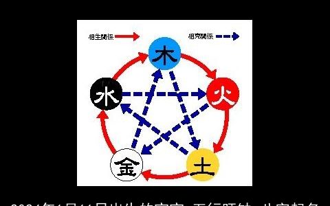 2024年1月11日出生的宝宝,五行旺缺,八字起名