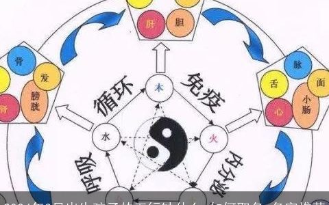 2024年3月出生孩子的五行缺什么,如何取名,名字推荐