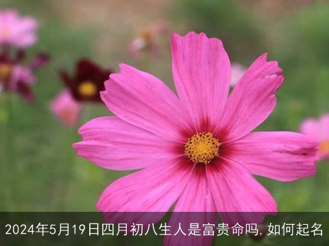 2024年5月19日四月初八生人是富贵命吗,如何起名