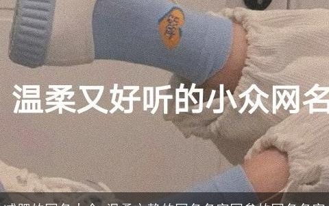 减肥的网名大全,温柔文静的网名名字网叁的网名名字